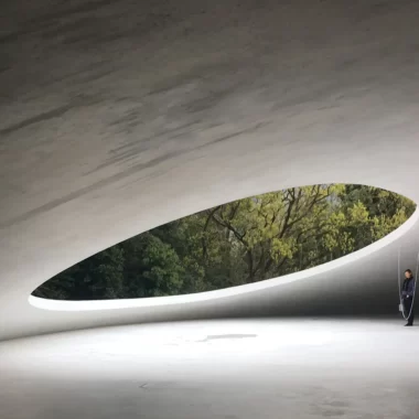 Biophilic Architectural Concepts - Why Chania Knowledge Sharing